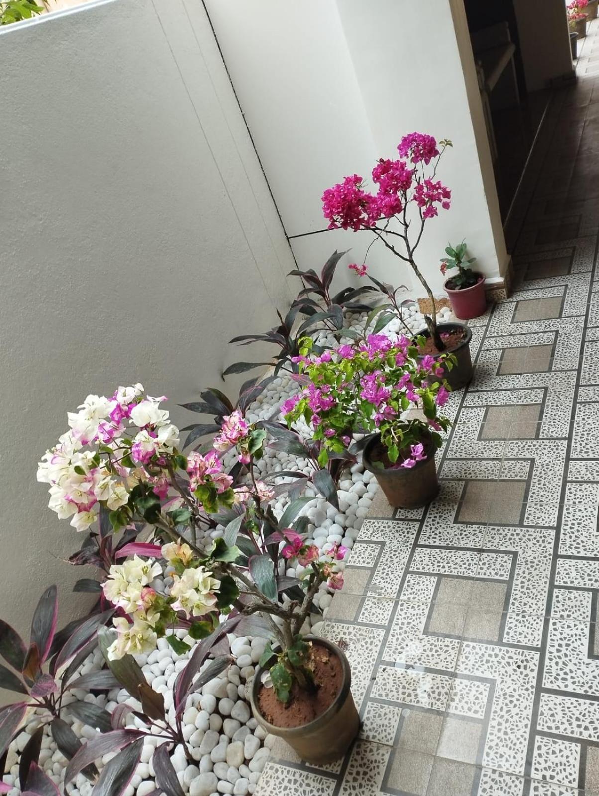 Annai Residency Hotel Vellore Exterior photo