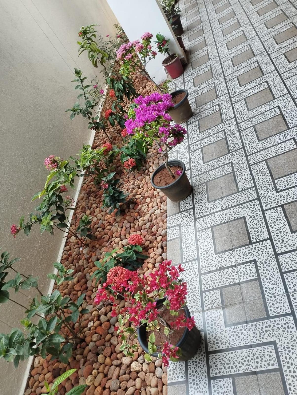 Annai Residency Hotel Vellore Exterior photo